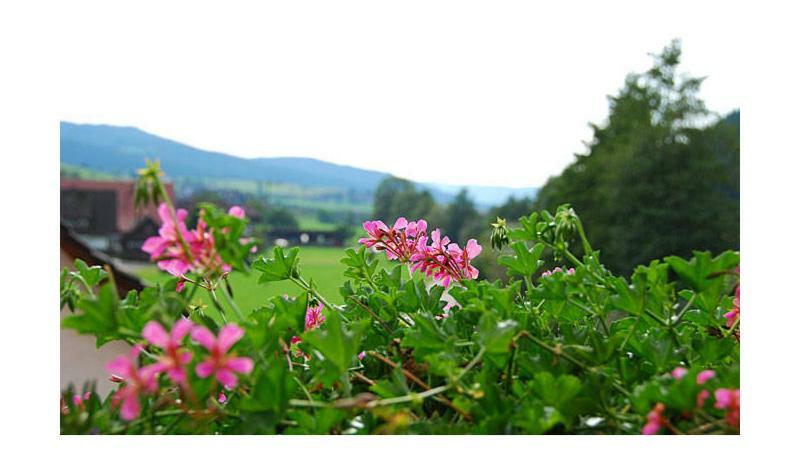 Pension Haus Rose Oberharmersbach Exterior photo